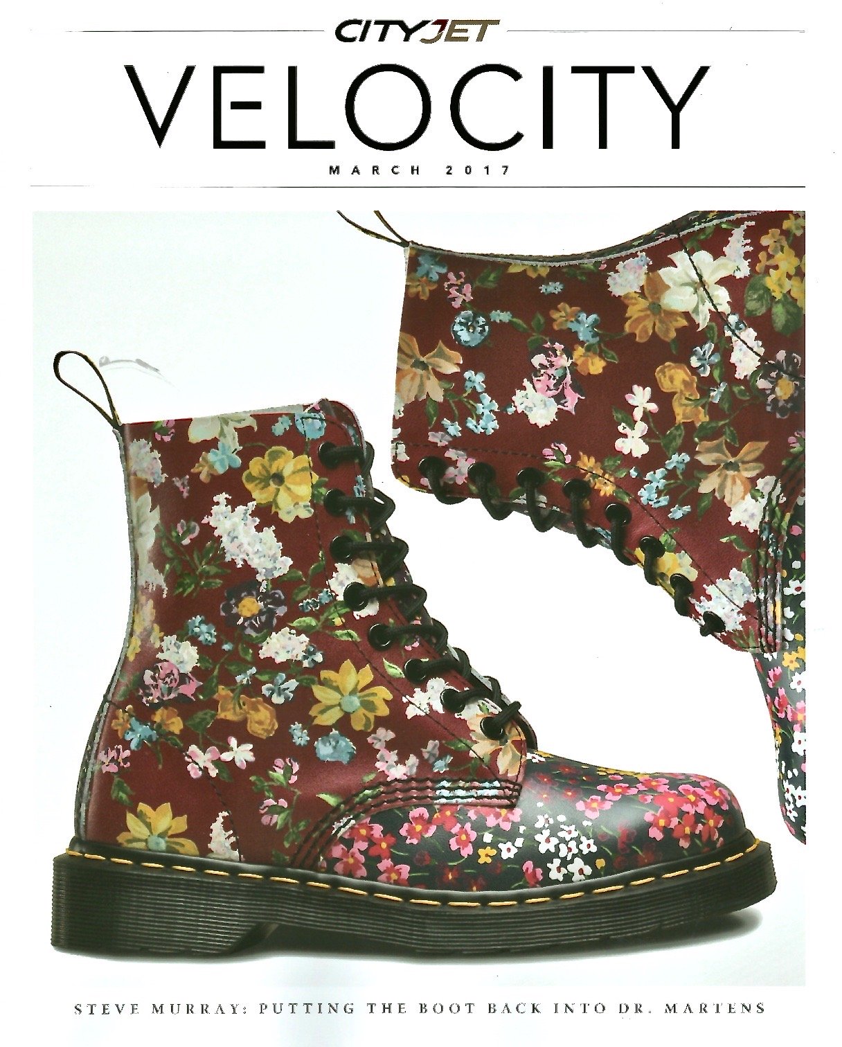 Velocity - March 2017