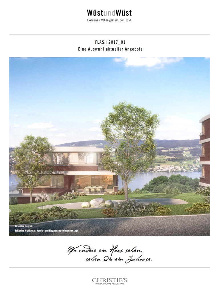 Wüst & Wüst Flash - January 2017