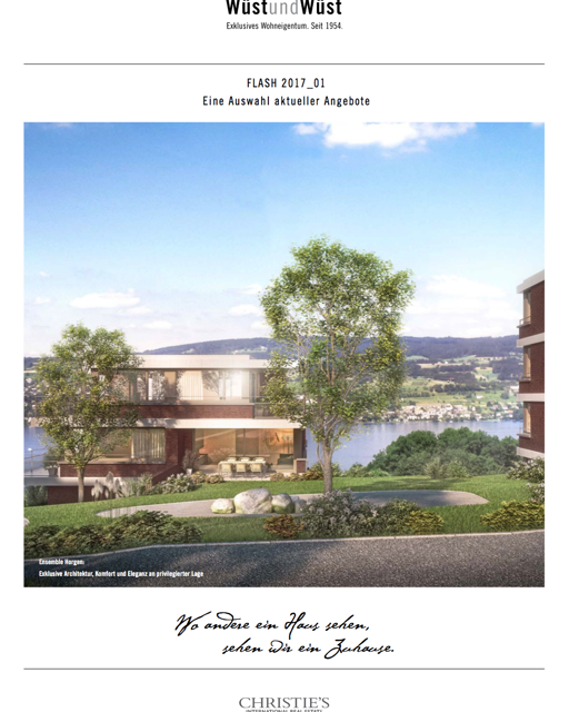 Wüst & Wüst Flash - January 2017